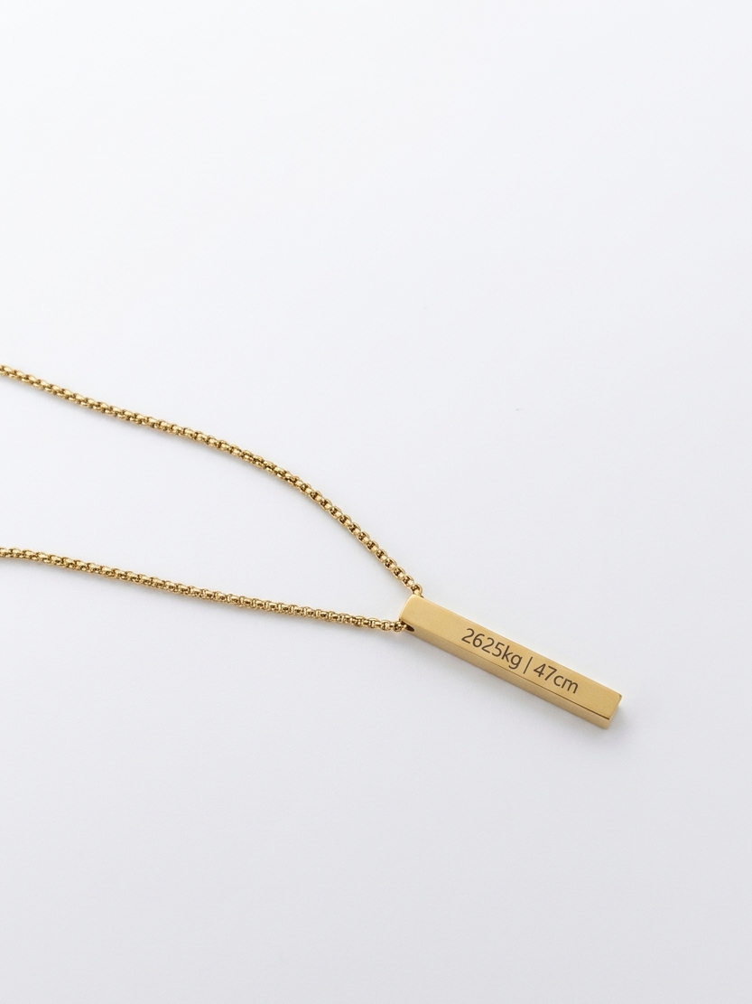 Colar Vertical - Personalizado em Aço