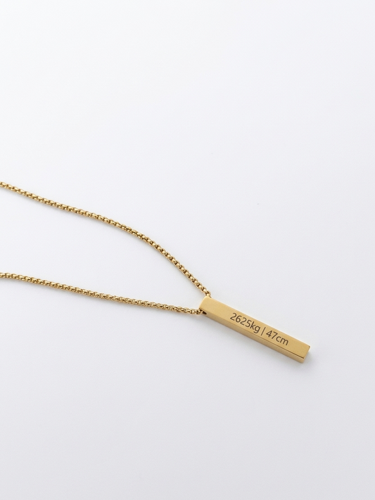 Colar Vertical - Personalizado em Aço