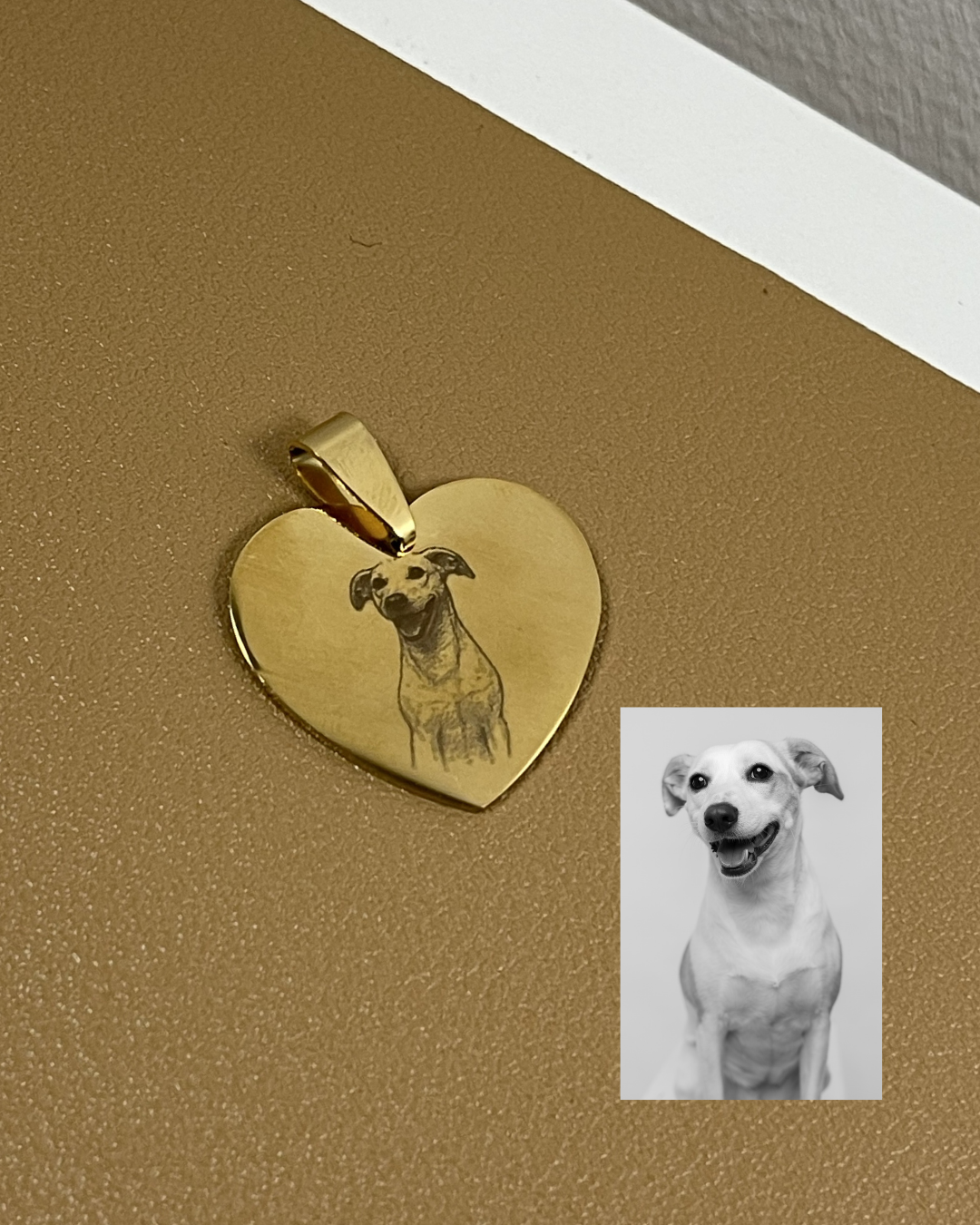 Colar "O Meu Patudo"